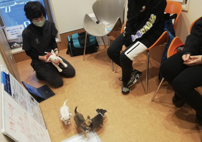 パピークラスの様子