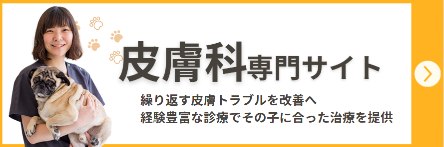 皮膚科専門サイト