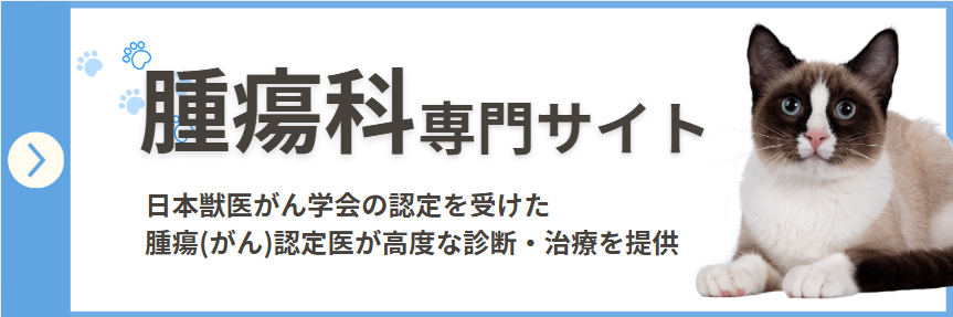 腫瘍科専門サイト