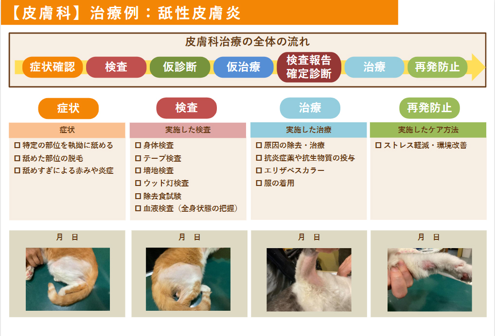 わかりやすい資料