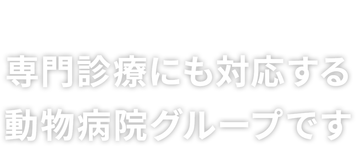 横浜市青葉区に2院を構える専門医療にも対応する動物病院グループです