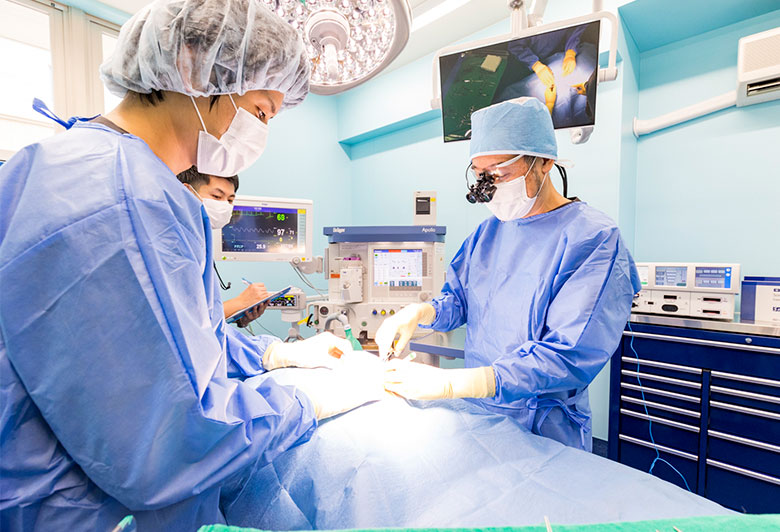 専門外来の充実