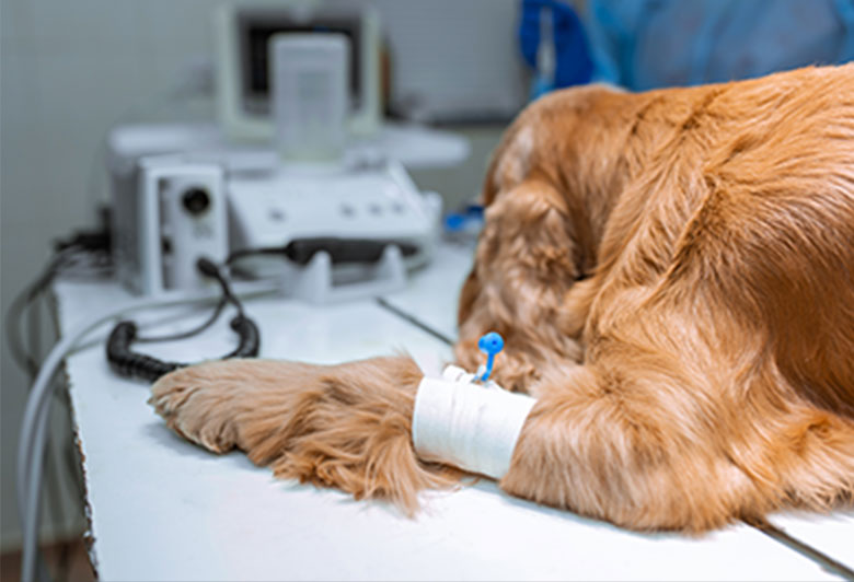 麻酔へのこだわり