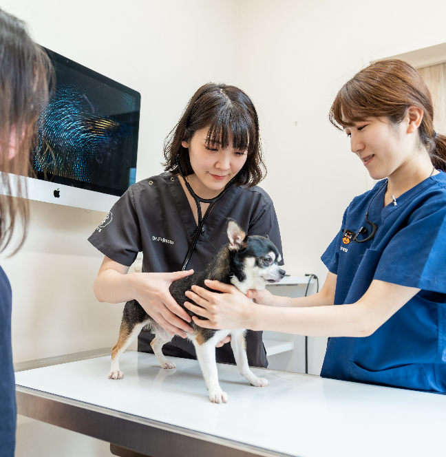 夕やけの丘動物病院