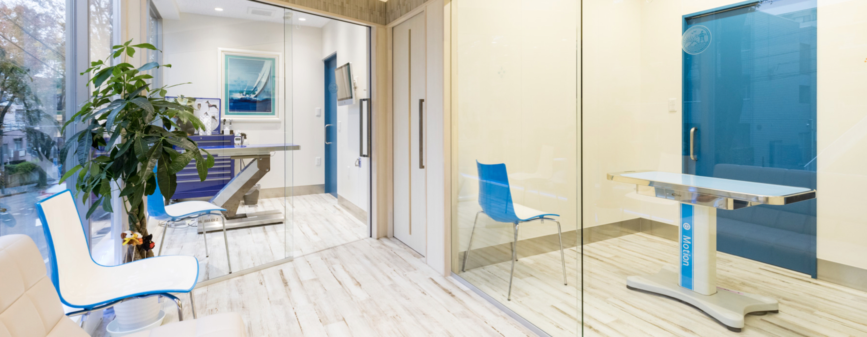 あざみ野どうぶつ医療センター