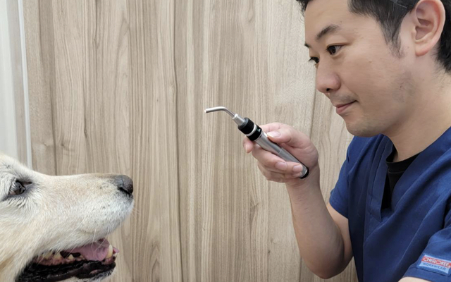 眼科（毎月1回）