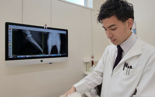 整形外科（隔週）