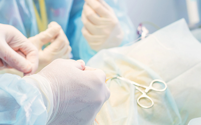 避妊・去勢手術