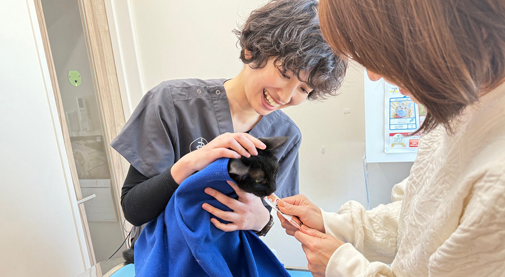 猫に優しい動物病院です