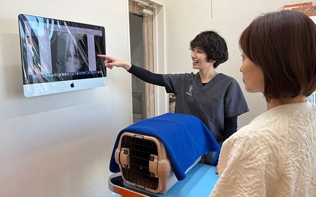 猫さん専用の診察室