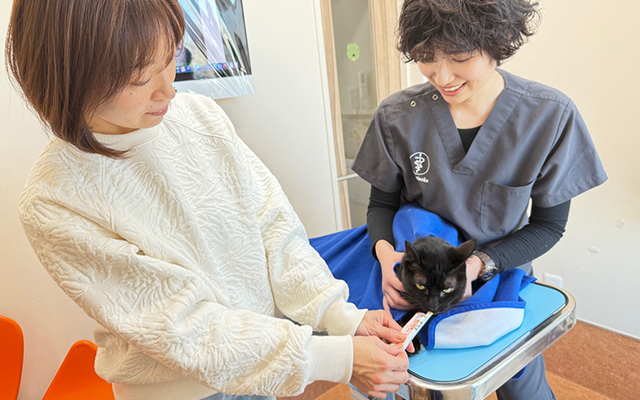 猫さん仕様の診察