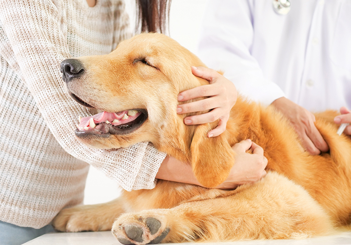 当院の5つの特徴