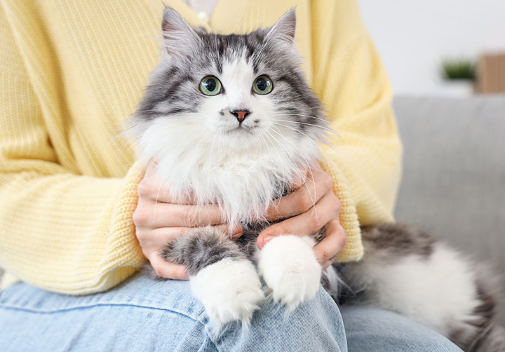 当院の5つの特徴