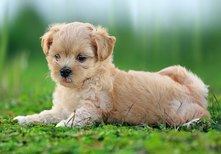 当院の5つの特徴