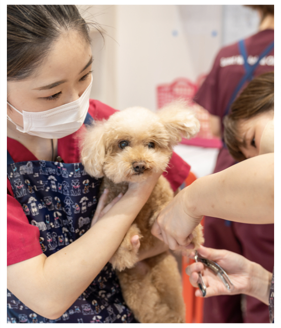 トリミングサロン